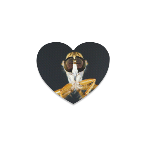 Close up macro of a Robber Fly - Efferia albibarbis Heart Coaster