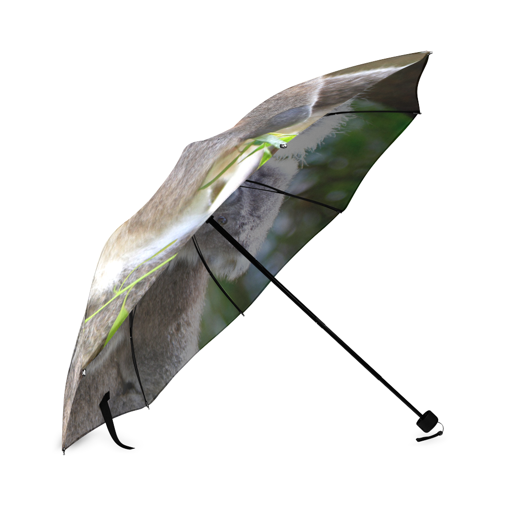 Koala_2015_0302 Foldable Umbrella (Model U01)