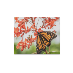 Monarch Butterfly Dreams Canvas Print 20"x16"