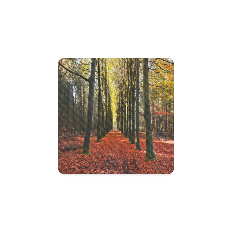 Autumn Forest Path Square Coaster