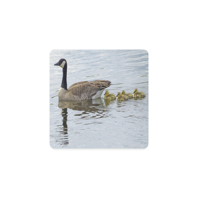 Goose And Baby Goslings Square Coaster