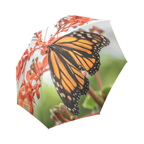 Monarch Butterfly Dreams Foldable Umbrella (Model U01)