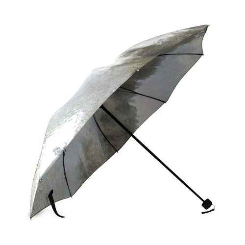 Frog Prince Foldable Umbrella (Model U01)