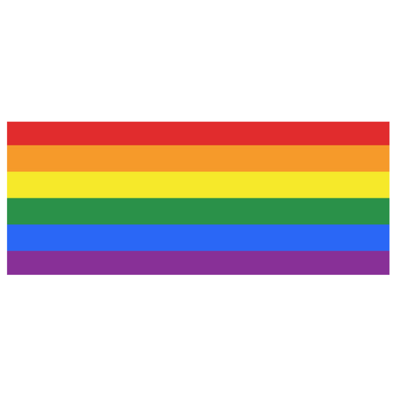 Gay Pride Rainbow Flag Stripes Custom Morphing Mug