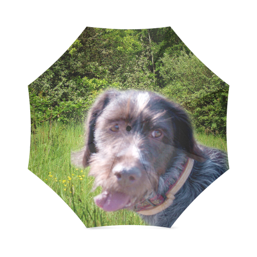 Dog Wirehaired Pointing Griffon Foldable Umbrella (Model U01)
