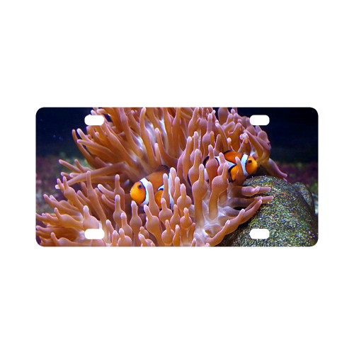 Coral And Clownfish Classic License Plate