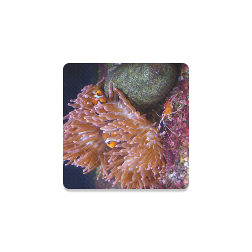Coral And Clownfish Square Coaster