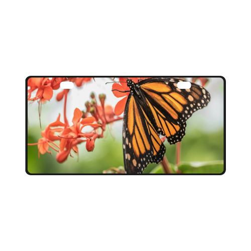 Monarch Butterfly Dreams License Plate