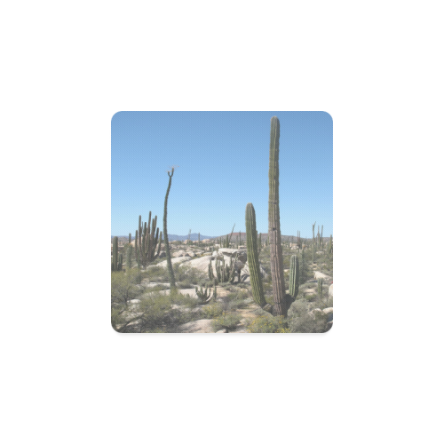 Desert Cactus Dream Square Coaster