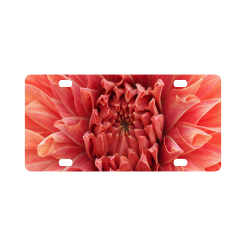 Bright Red Dahlia Flower Classic License Plate