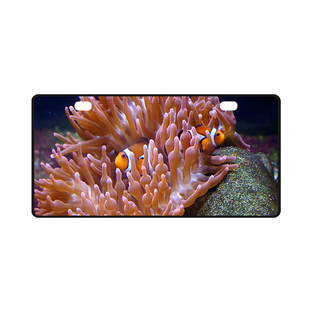 Coral And Clownfish License Plate