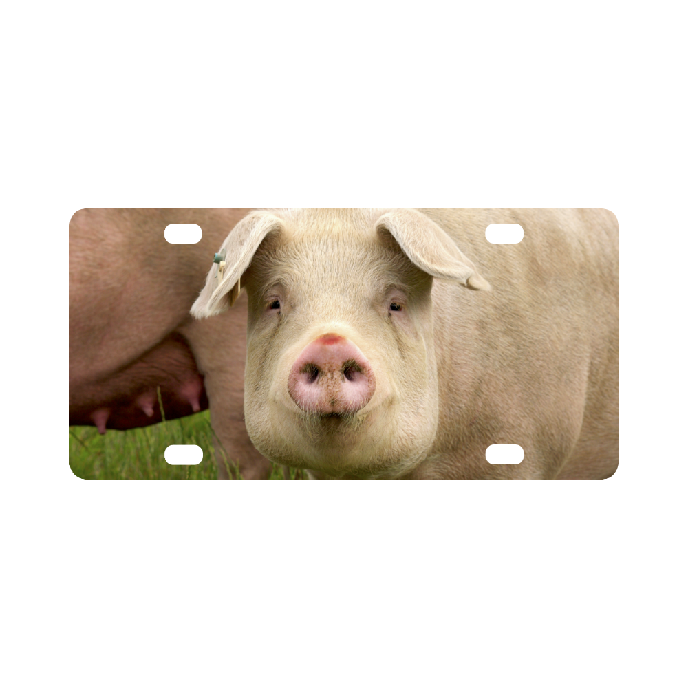 Pigs Mama Animals Farm Classic License Plate