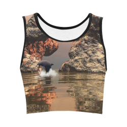 Dolphin in the sunset Women's Crop Top (Model T42)