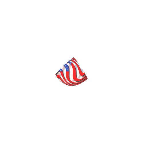 Flag of United States of America Custom Bikini Swimsuit