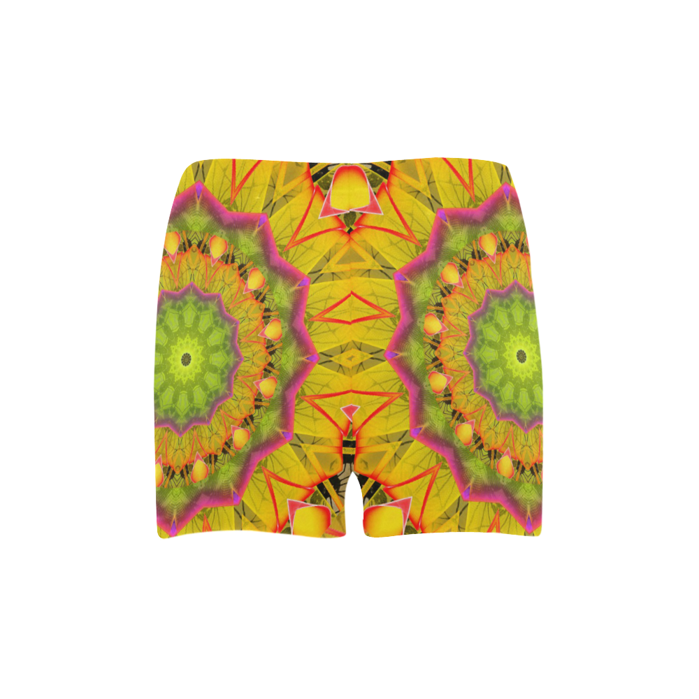 Beach Grass Golden Red Foliage Abstract Fall Days Briseis Skinny Shorts (Model L04)