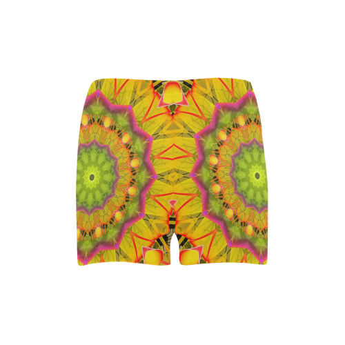 Beach Grass Golden Red Foliage Abstract Fall Days Briseis Skinny Shorts (Model L04)