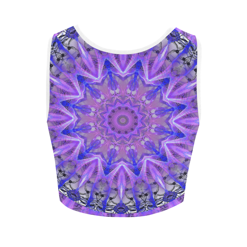 Abstract Plum Ice Crystal Palace Lattice Lace Women's Crop Top (Model T42)