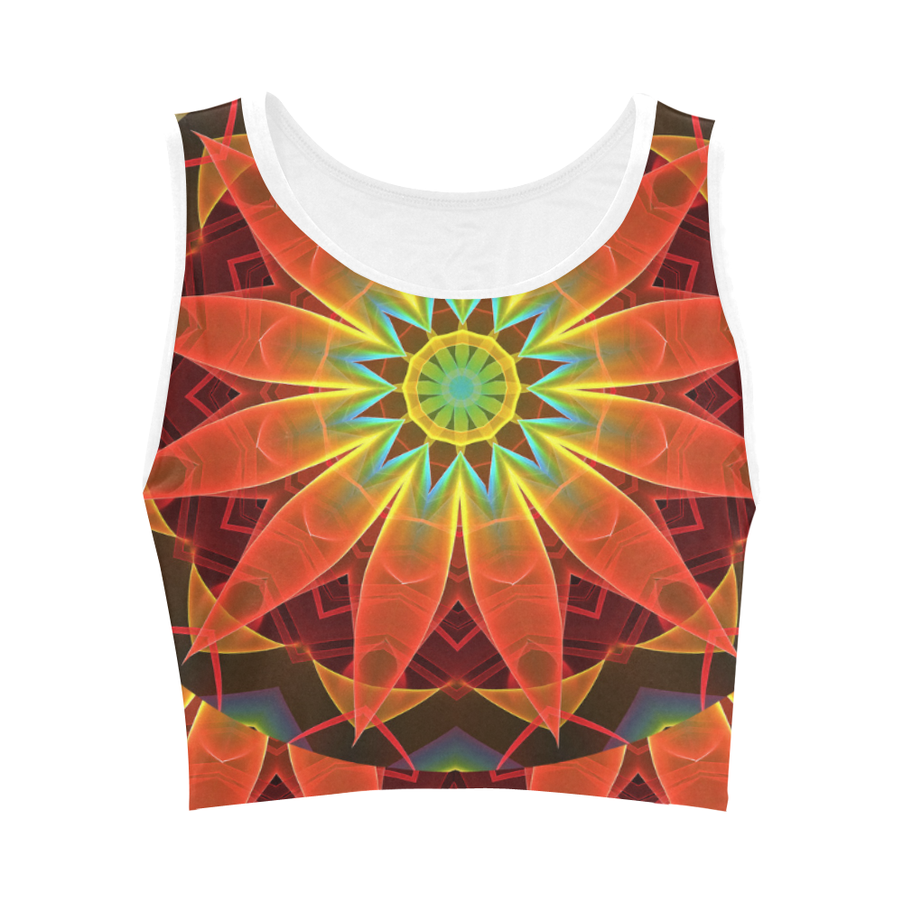 Radiance and Light, Orange Brown Awakening Women's Crop Top (Model T42)