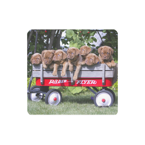 Dogue de Bordeaux puppies ready to roll! Women's Clutch Wallet (Model 1637)