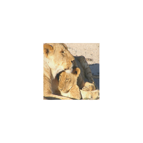 Lion And Cub Love Square Towel 13“x13”