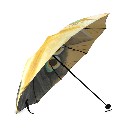 surprise Foldable Umbrella (Model U01)