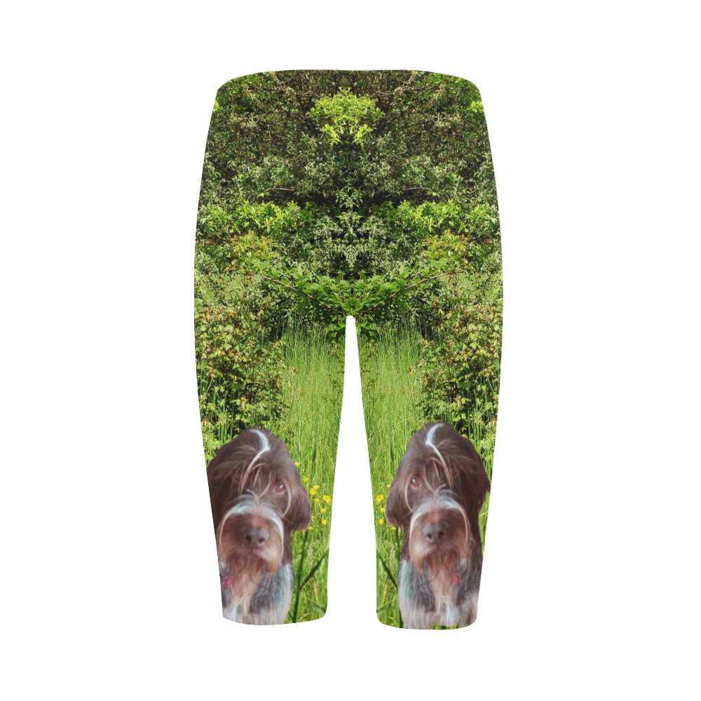 Dog Wirehaired Pointing Griffon Hestia Cropped Leggings (Model L03)