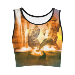 Funny dolphin jumping in the sunset Women's Crop Top (Model T42)