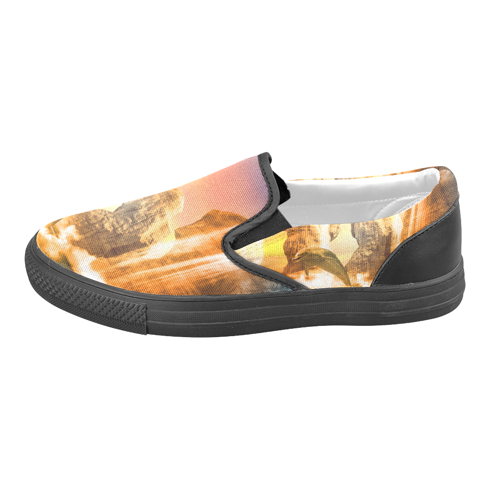 Funny dolphin jumping in the sunset Women's Unusual Slip-on Canvas Shoes (Model 019)