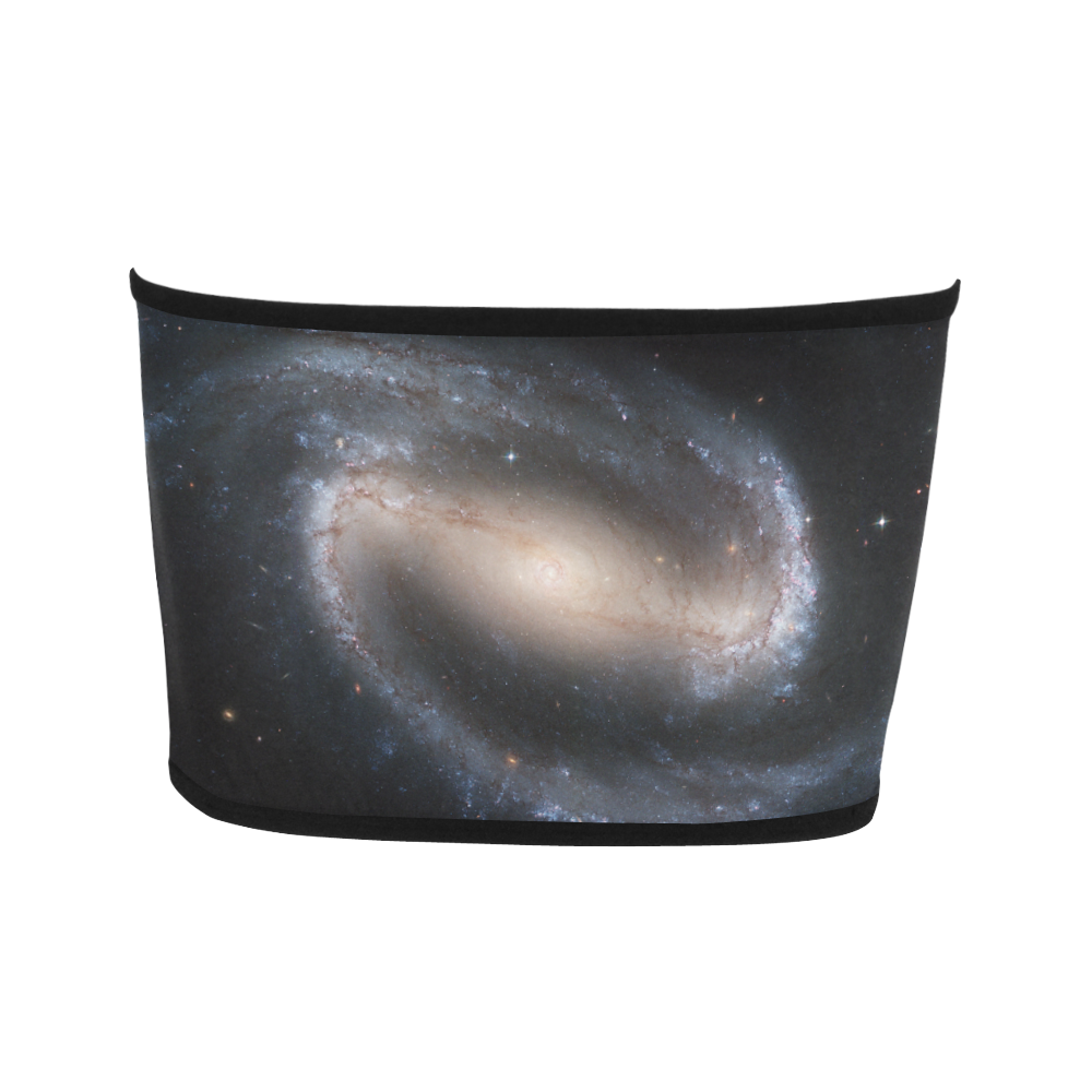 Barred spiral galaxy NGC 1300 Bandeau Top