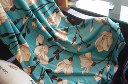 Ultra-Soft Micro Fleece Blanket 43''x56''