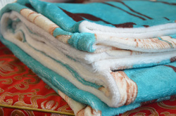 Ultra-Soft Micro Fleece Blanket 43''x56''