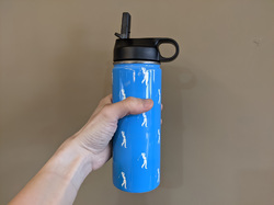 Insulated Water Bottle with Straw Lid (18 oz)