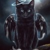 black_cat_parade