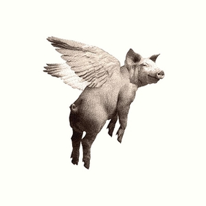 flyingpigboutique