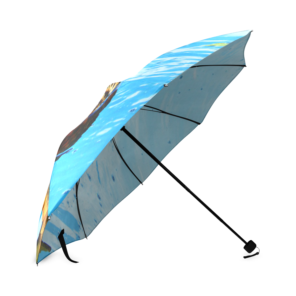 Duck Reflected Foldable Umbrella (Model U01)