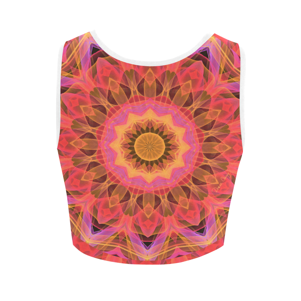 Abstract Peach Violet Mandala Ribbon Candy Lace Women's Crop Top (Model T42)