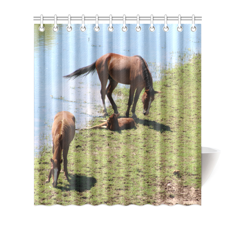 Salt River Wild Horses by Martina webster Shower Curtain 66"x72"