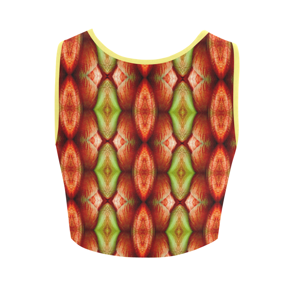 Melons Pattern Abstract Women's Crop Top (Model T42)