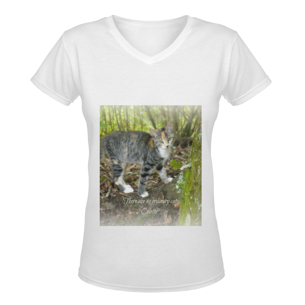 "No Ordinary Cats" Women's V-Neck Tee Women's Deep V-neck T-shirt (Model T19)