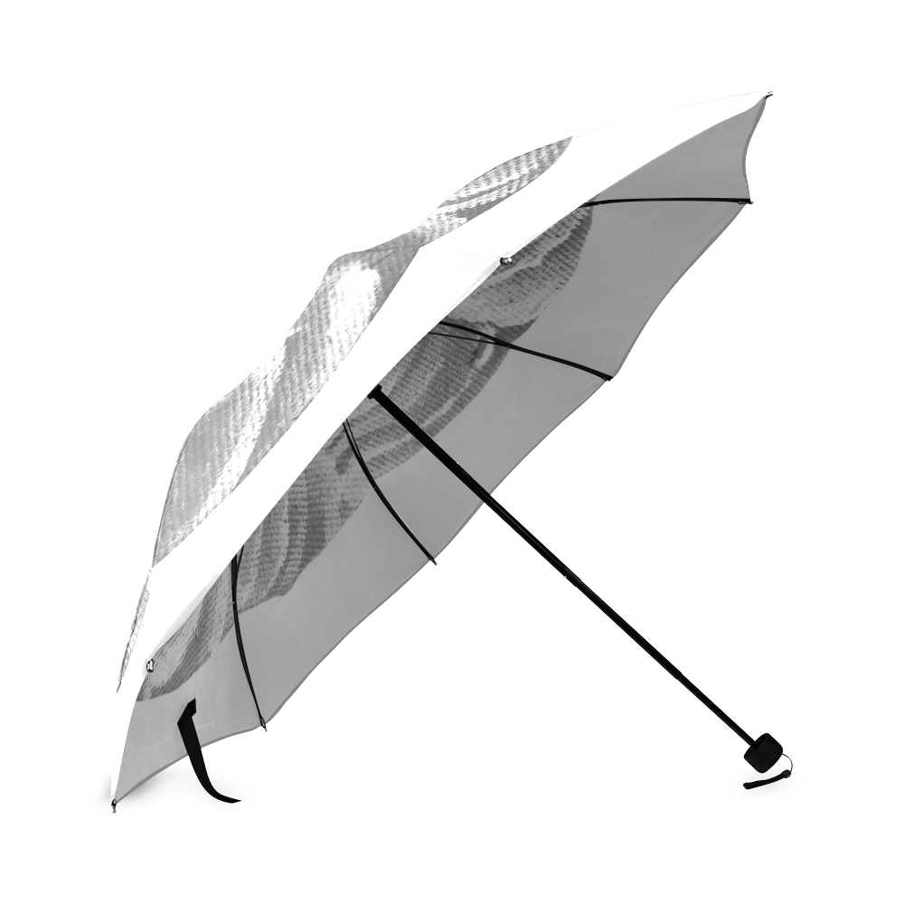 Peach Plum dreams BnW Foldable Umbrella (Model U01)