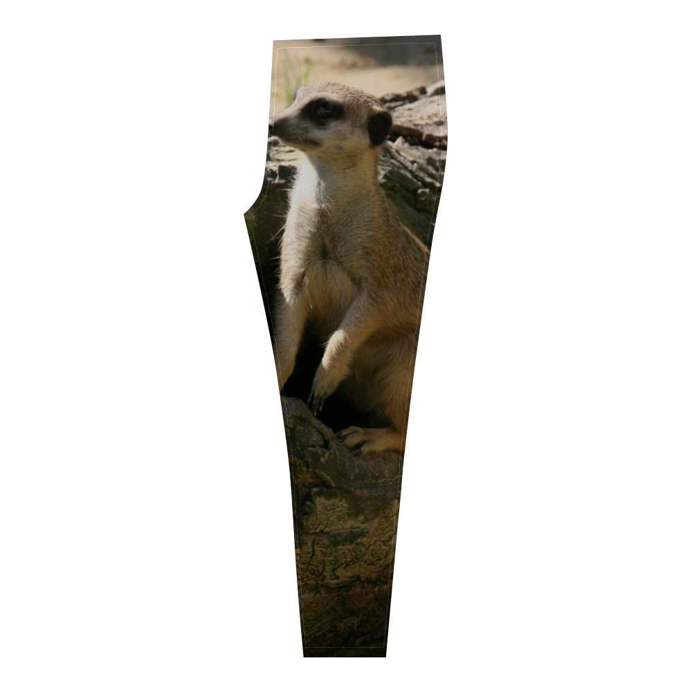 Meerkat Cassandra Women's Leggings (Model L01)