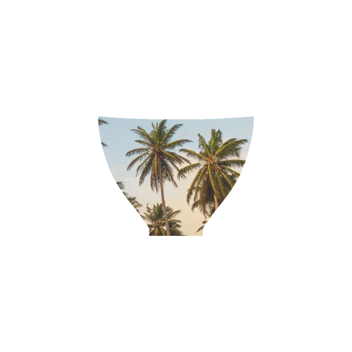 Chilling Tropical Palm Trees Blue Sky Scene Custom Bikini Swimsuit