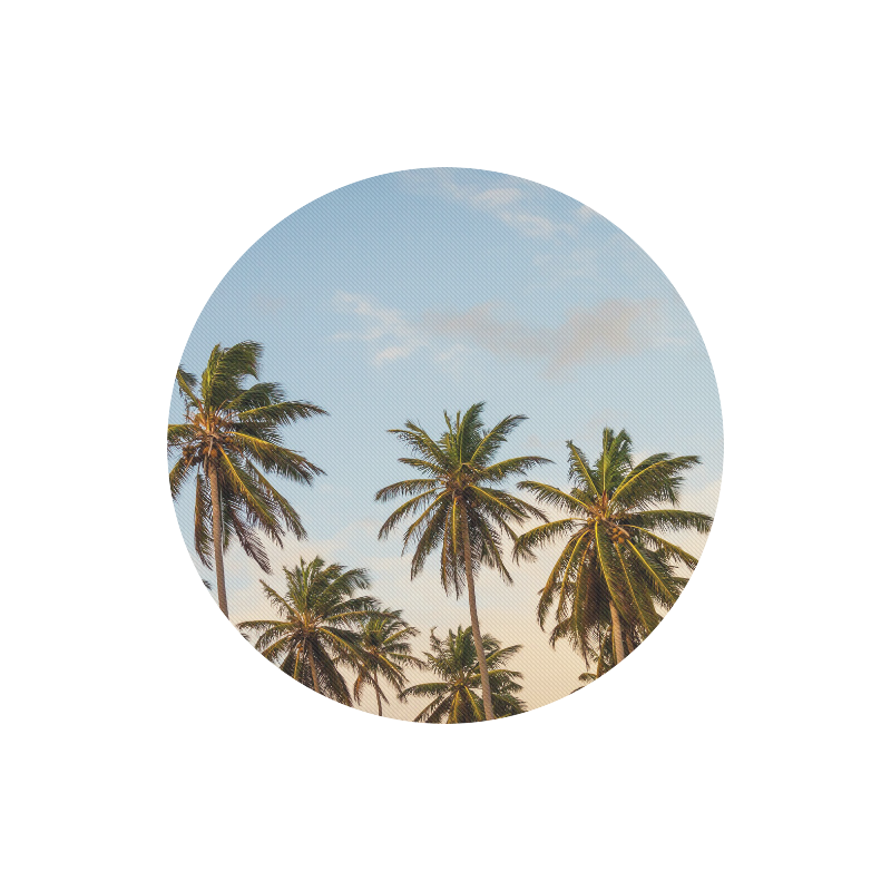 Chilling Tropical Palm Trees Blue Sky Scene Round Mousepad