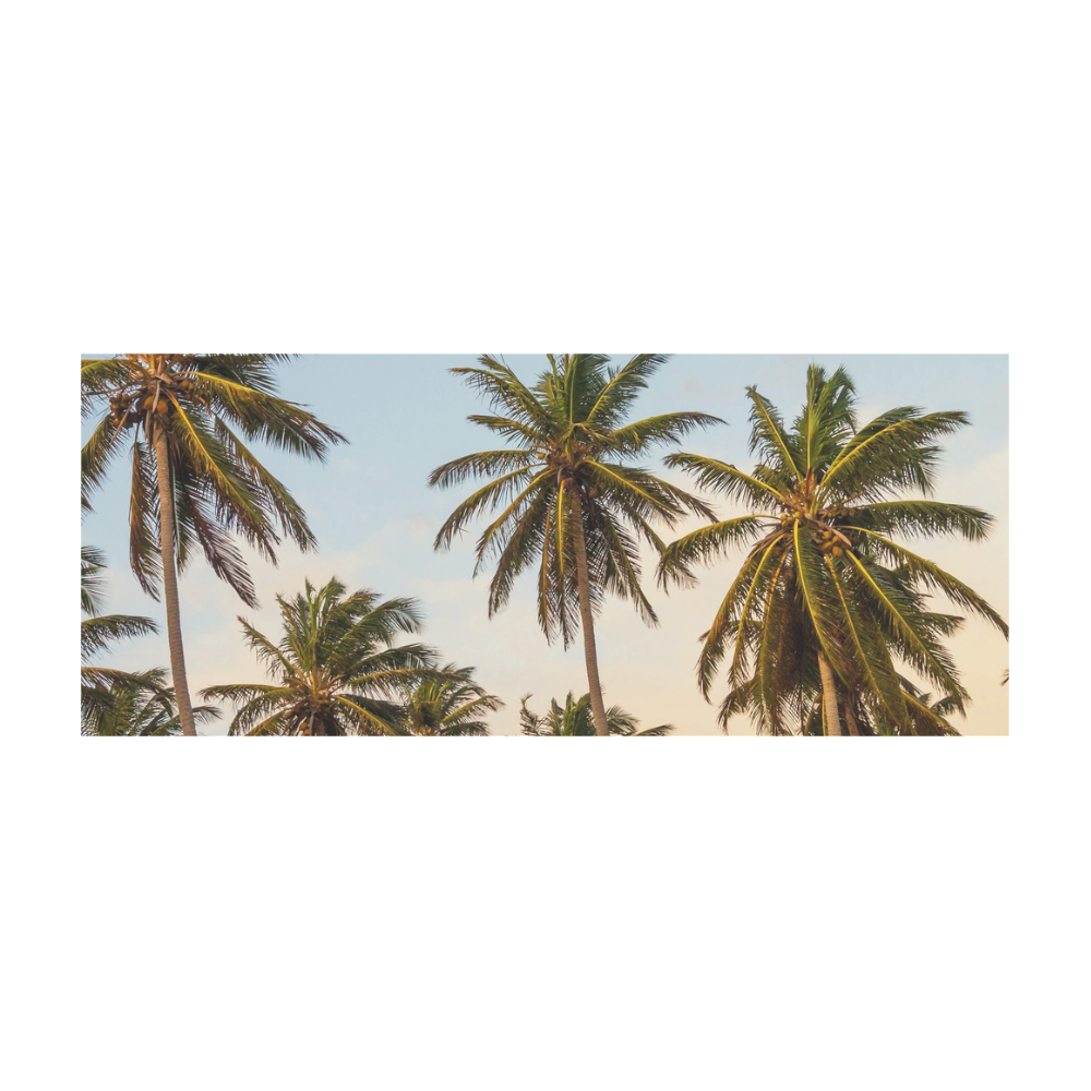 Chilling Tropical Palm Trees Blue Sky Scene Stainless Steel Vacuum Mug (10.3OZ)
