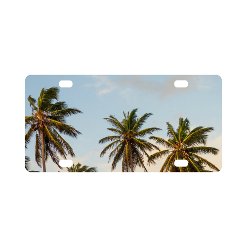 Chilling Tropical Palm Trees Blue Sky Scene Classic License Plate