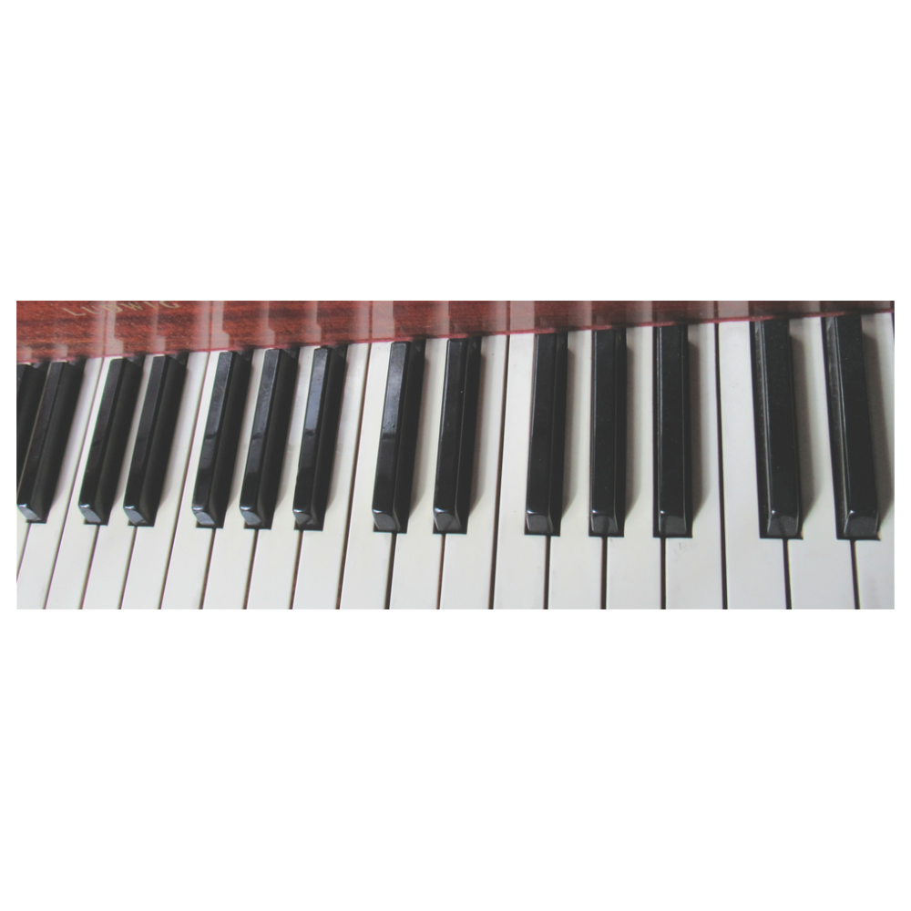 Piano by Martina Webster Classic Insulated Mug(10.3OZ)