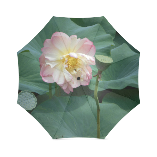 The Gorgeous Lotus Foldable Umbrella (Model U01)