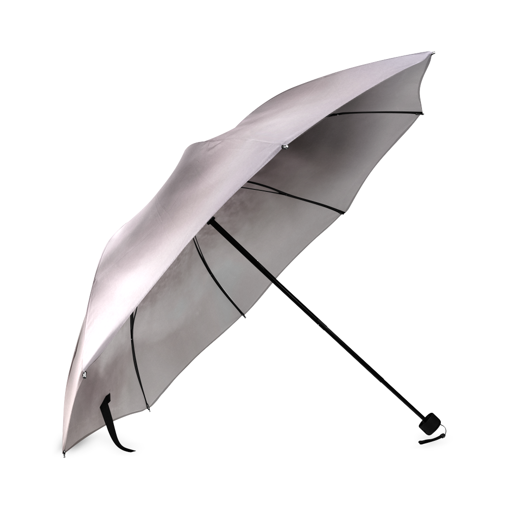SHELL Foldable Umbrella (Model U01)