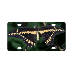 Giant Swallowtail Butterfly Classic License Plate
