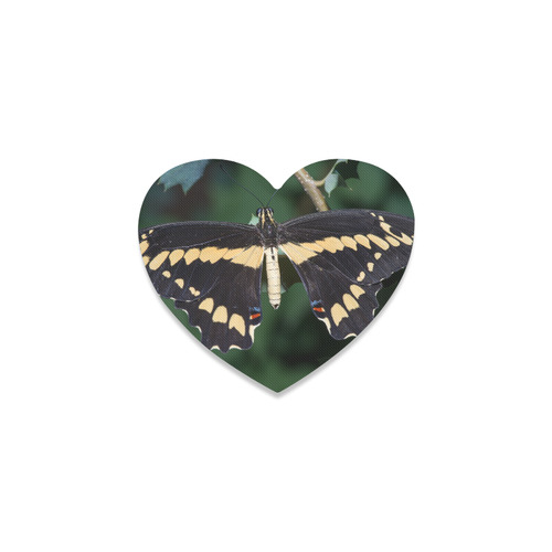 Giant Swallowtail Butterfly Heart Coaster